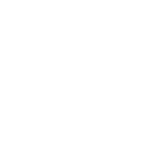 chook.png
